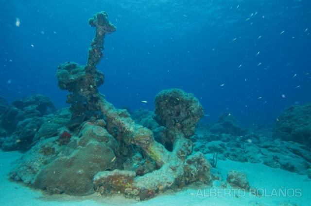  We are going to the sea 